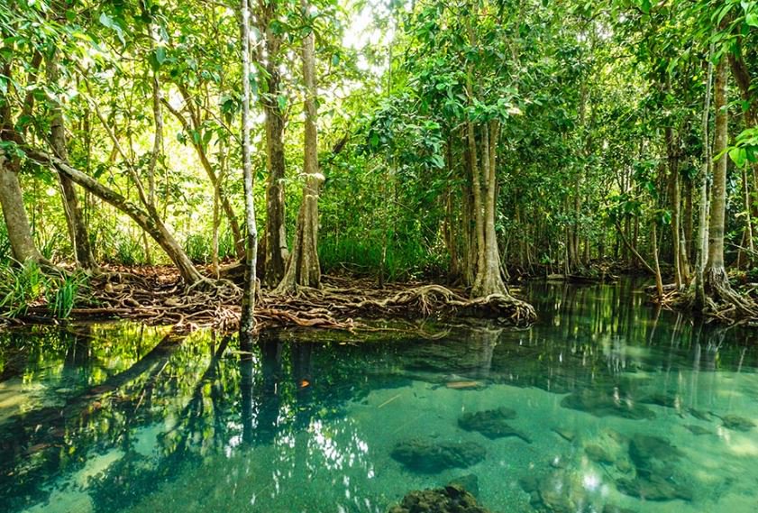 LA RESTAURACIÓN FLUVIAL SE CONSOLIDA PARA MINIMIZAR LA EMERGENCIA CLIMÁTICA