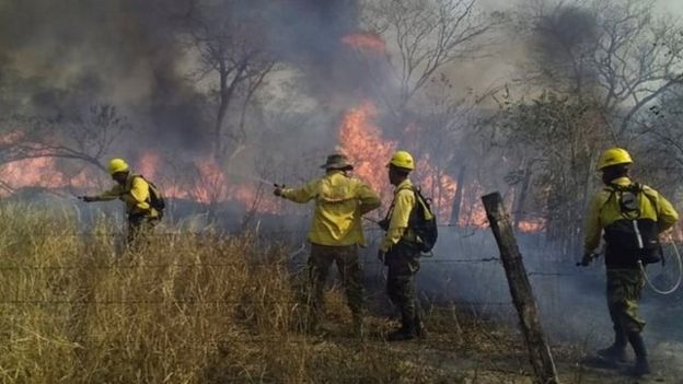 No cesa el fuego en la selva tropical más grande del mundo: El Amazonas