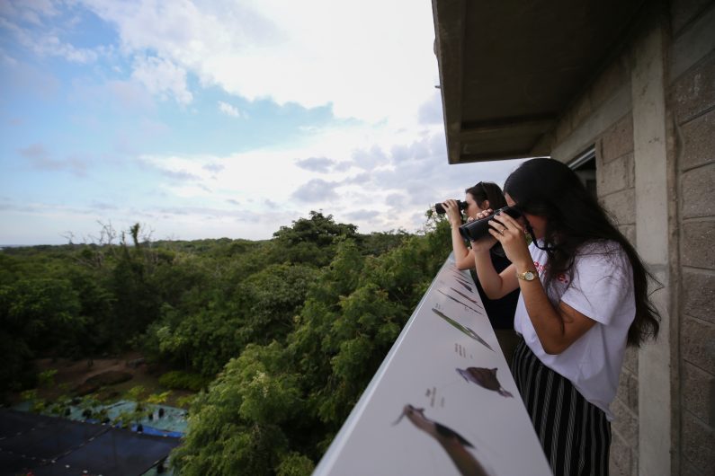 Álula! el nuevo observatorio de aves de Uninorte para el Caribe Colombiano