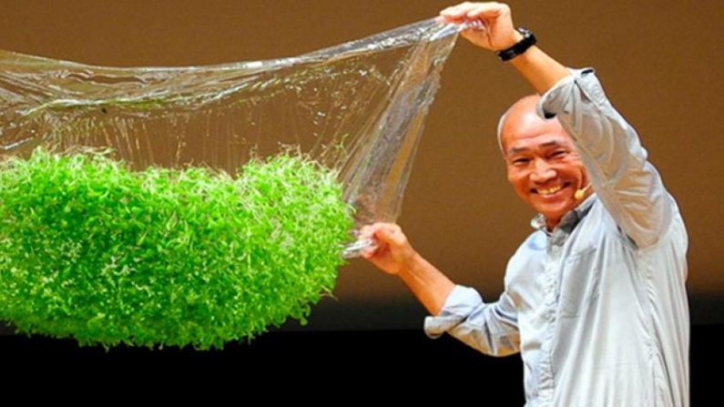 Una nueva «Revolución Verde» surge frente a la creciente crisis alimentaria