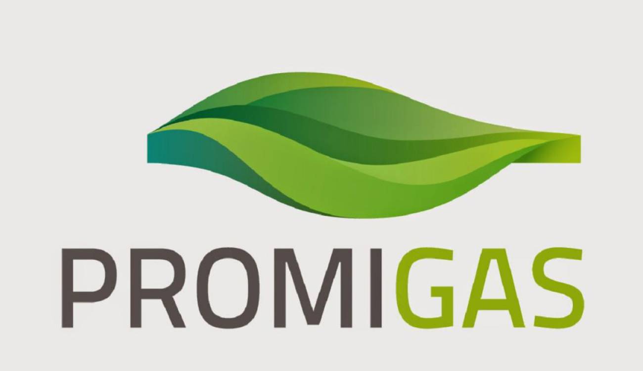 Convocatoria a la Asamblea ordinaria de Accionistas de Promigas S.A E.S.P