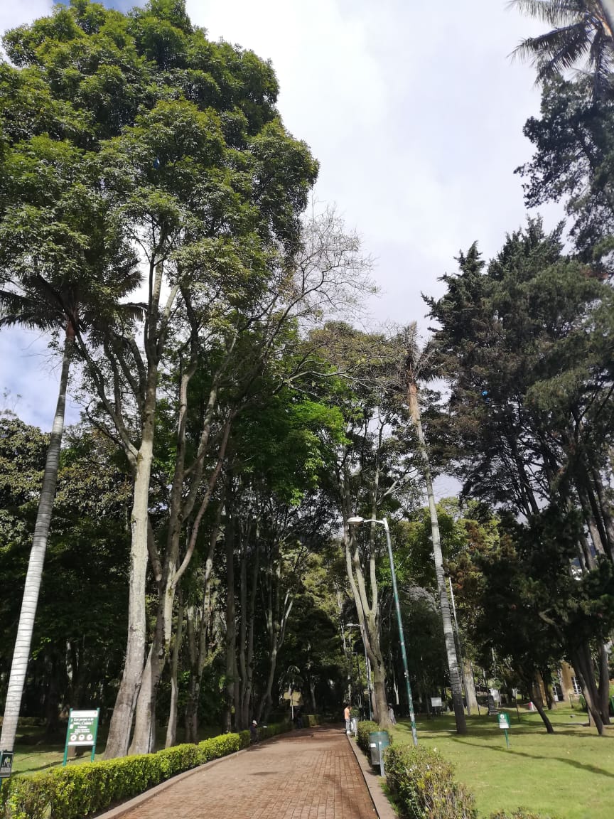 Bogotá mejora su calidad del aire tras la cuarentena