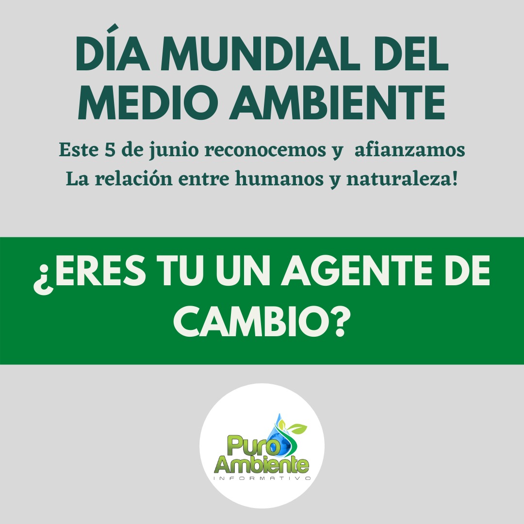 El Dia Mundial del Medio Ambiente