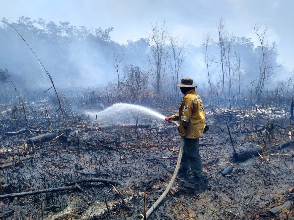 Medidas preventivas ante incendio forestal en la isla de Salamanca