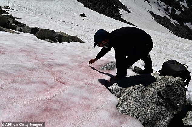 Misteriosa aparición de ‘nieve de sangre’ en los Alpes italianos