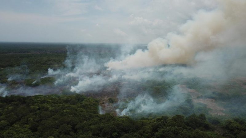 Cero incendios en Parque Isla Salamanca