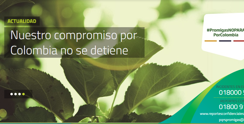Promigas incrementó en 6% sus utilidades del 1er semestre
