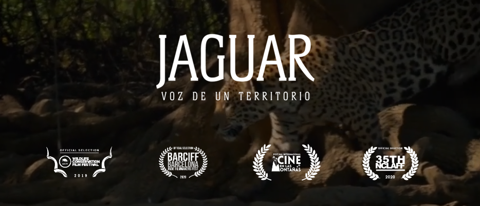 El documental: Jaguar, la voz de un territorio
