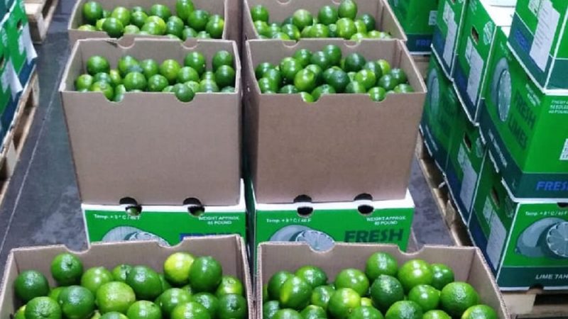 Si la vida te LIMONES ¡Expórtalos!