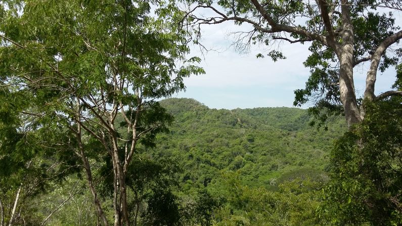 150 nuevas hectáreas en Luriza, amplían área de conservación en Atlántico