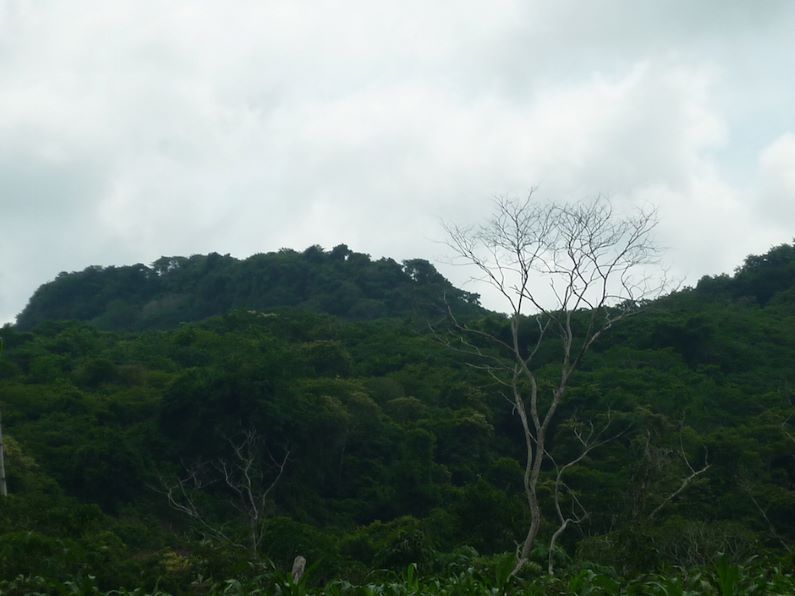 Reserva El Palomar tiene 62 nuevas hectáreas