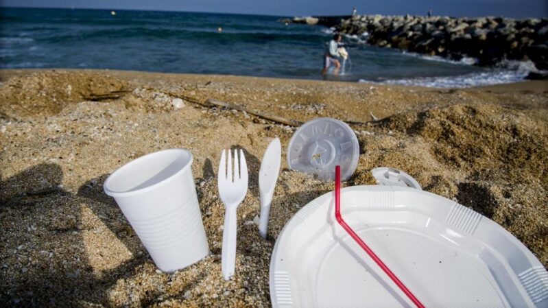 Un Medio Ambiente Mundial #SinContaminaciónPorPlásticos