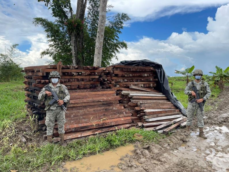 Decomisados 59 m³ de madera en el suroriente de Colombia