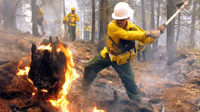 Alerta en 360 municipios del país por temporada de sequía