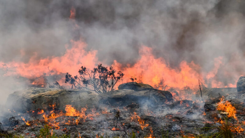 El parque El Tuparro se incendió durante ocho días
