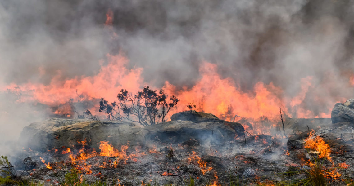 El parque El Tuparro se incendió durante ocho días