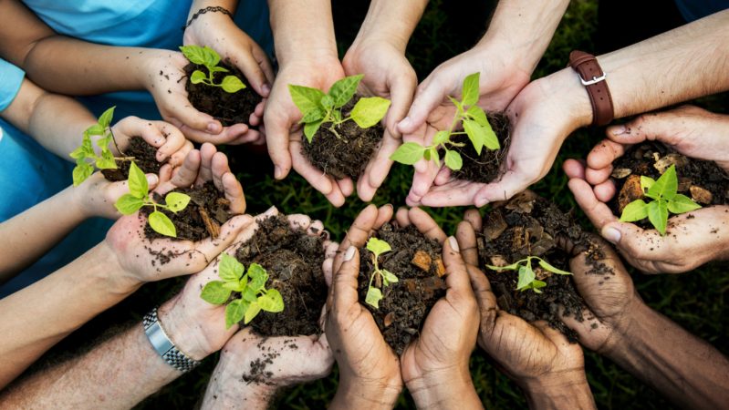 $20.000 millones para la reforestación de Antioquia