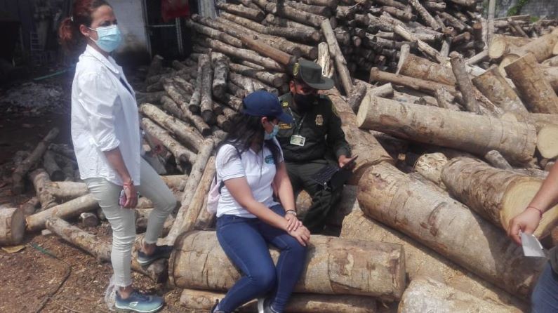 Operativos contra el tráfico ilegal de madera en el Magdalena