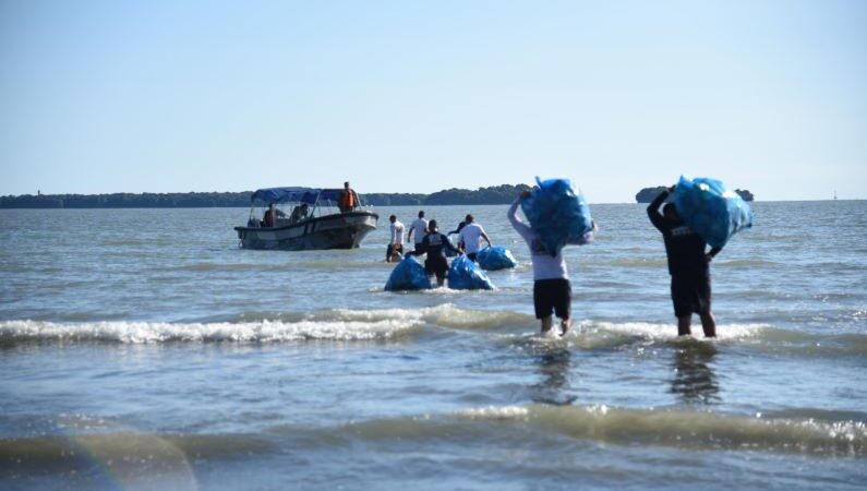 Armada colombiana lidera limpieza de playas en el Parque Nacional Natural Uramba