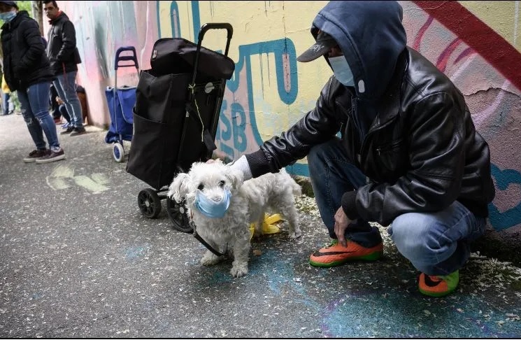 Colombia con nuevos requisitos para ingresar o sacar mascotas