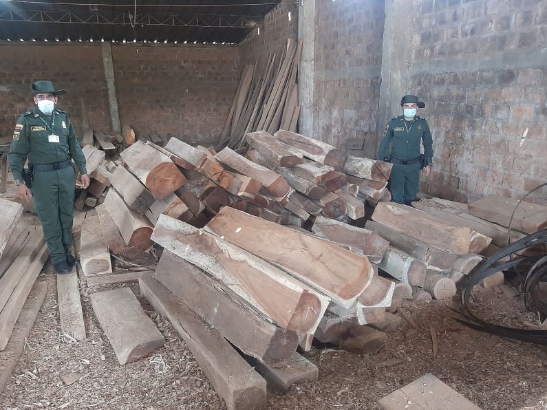 Fuertes operativos contra el tráfico ilegal de madera en el Magdalena