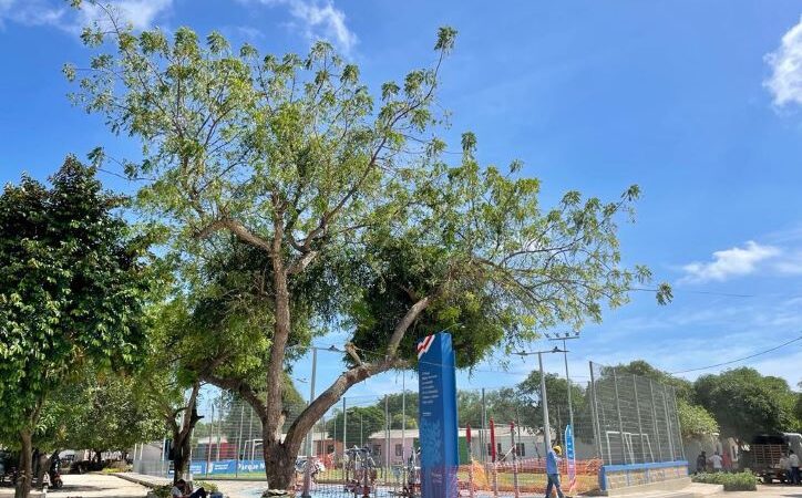 Polo Nuevo estrena parque en el Día de Velitas