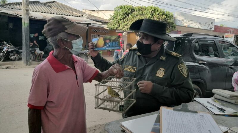 Cataqueros entregan voluntariamente animales silvestres a la Policía Nacional
