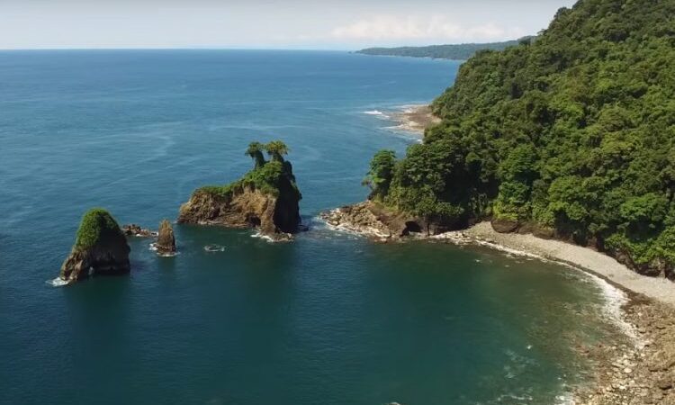Tribugá-Cupica-Baudó podría ser la sexta reserva de biosfera de Colombia