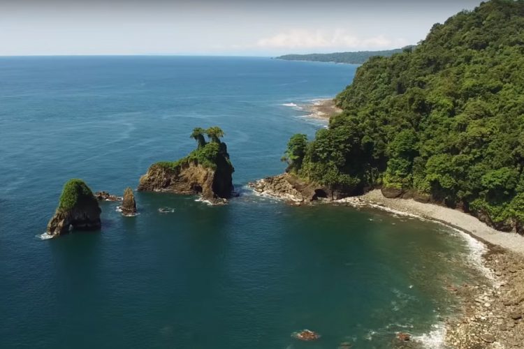 Tribugá-Cupica-Baudó podría ser la sexta reserva de biosfera de Colombia