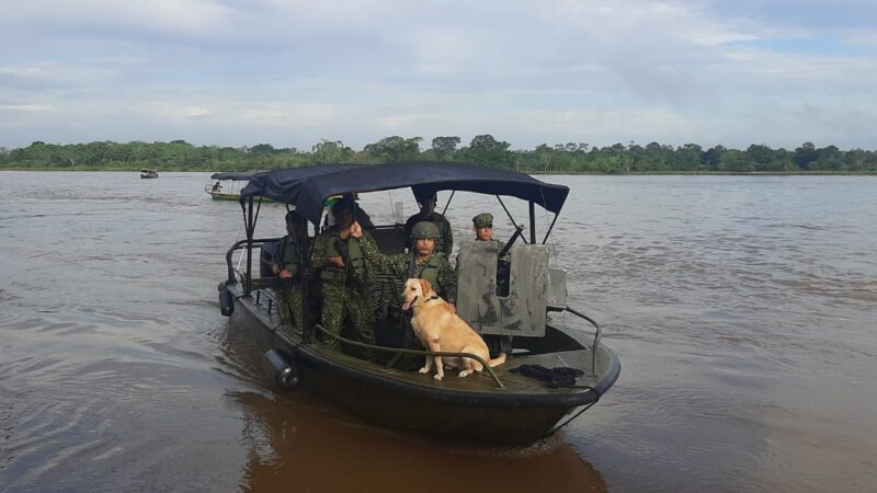 Los caninos antiexplosivos «héroes»  durante las elecciones presidenciales Colombia 2022