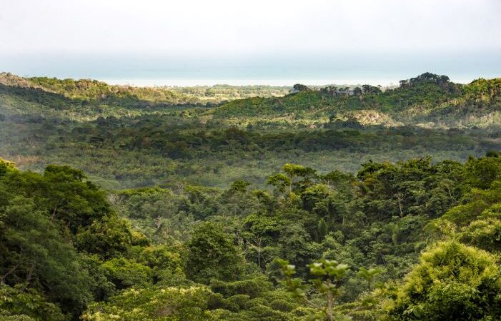 Colombia ya cuenta con Mapa de Restauración para su recuperación ecológica