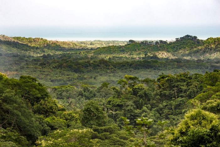 Colombia ya cuenta con Mapa de Restauración para su recuperación ecológica