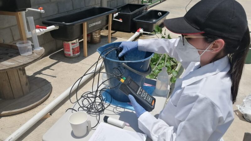Investigadores Uninorte crean una alternativa ecológica como alcantarillado en hogares rurales