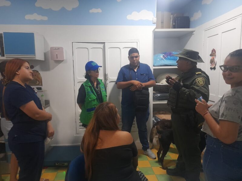 Los perritos de Bellavista ya están a salvo: Gracias a las denuncias de los vecinos