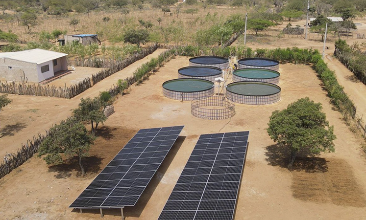 Oportunidad para quienes solucionen los desafíos de la transición energética en Colombia