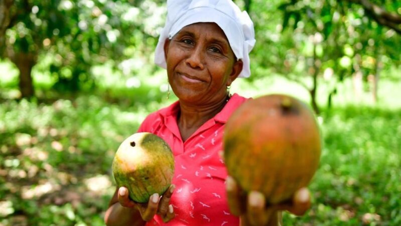 Sazón Atlántico celebra el 26° Festival del Mango en Pendales