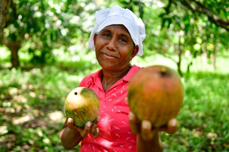 Sazón Atlántico celebra el 26° Festival del Mango en Pendales