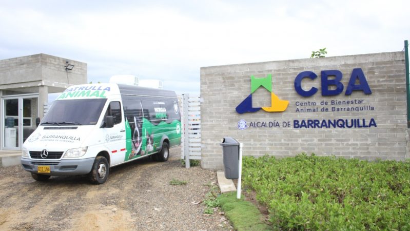 El Centro de Bienestar Animal de Barranquilla ha atendido 1.700 animales desde su apertura