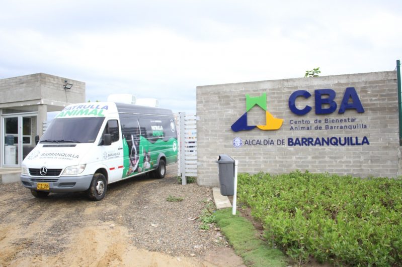 El Centro de Bienestar Animal de Barranquilla ha atendido 1.700 animales desde su apertura