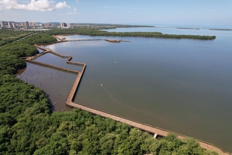 Sendero manglar del Ecoparque Ciénaga de Mallorquín habilitado al público