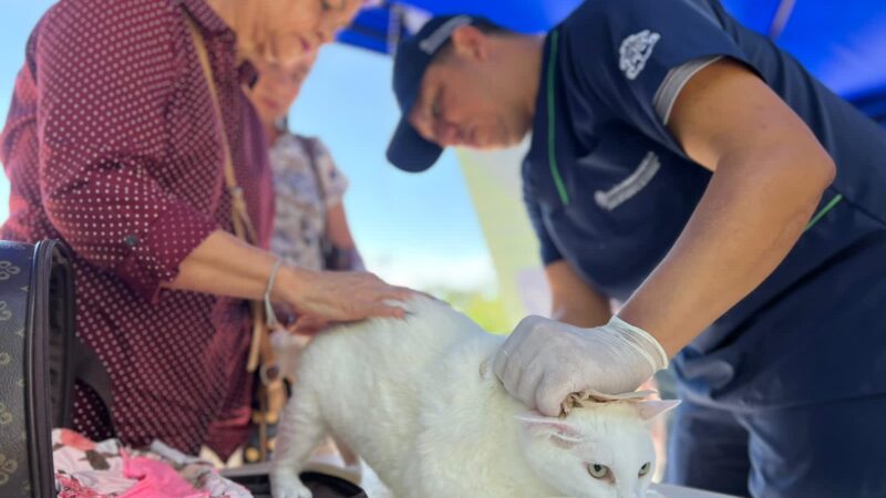 Jornada distrital de bienestar y adopción animal