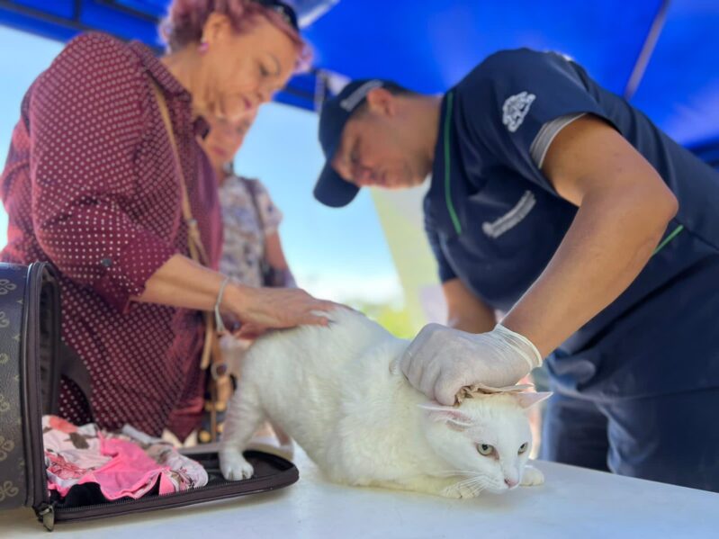 Jornada distrital de bienestar y adopción animal