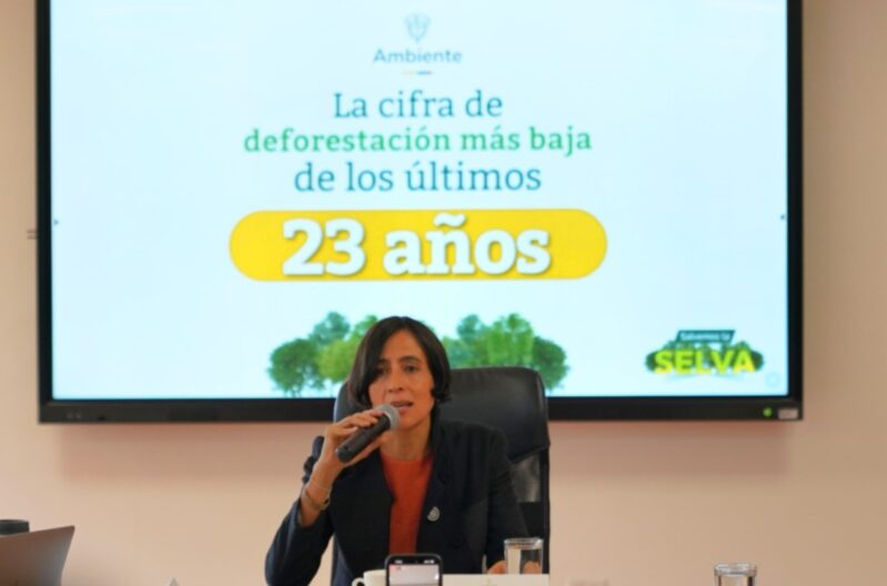 La deforestación en Colombia se redujo en un 36%