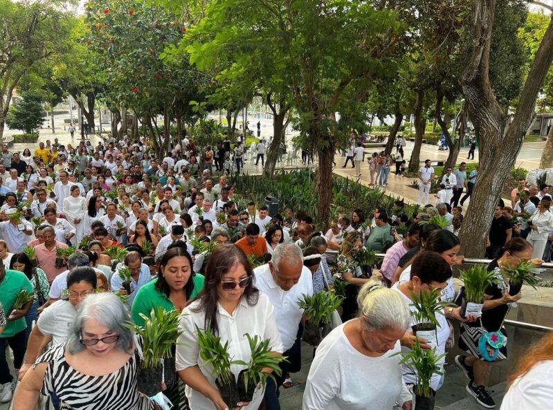 Celebremos pacíficamente el día de la Virgen del Carmen