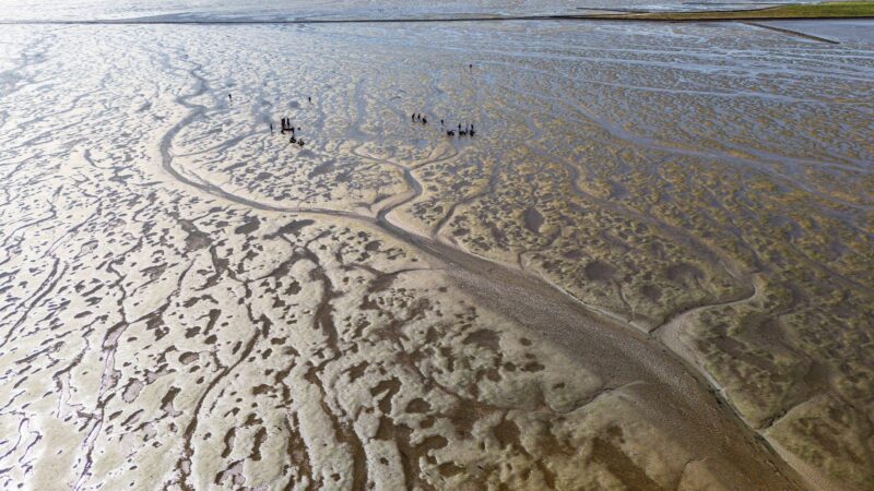 El cambio climático está afectando rápidamente al Mar de Frisia