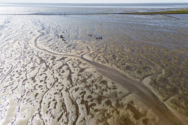 El cambio climático está afectando rápidamente al Mar de Frisia