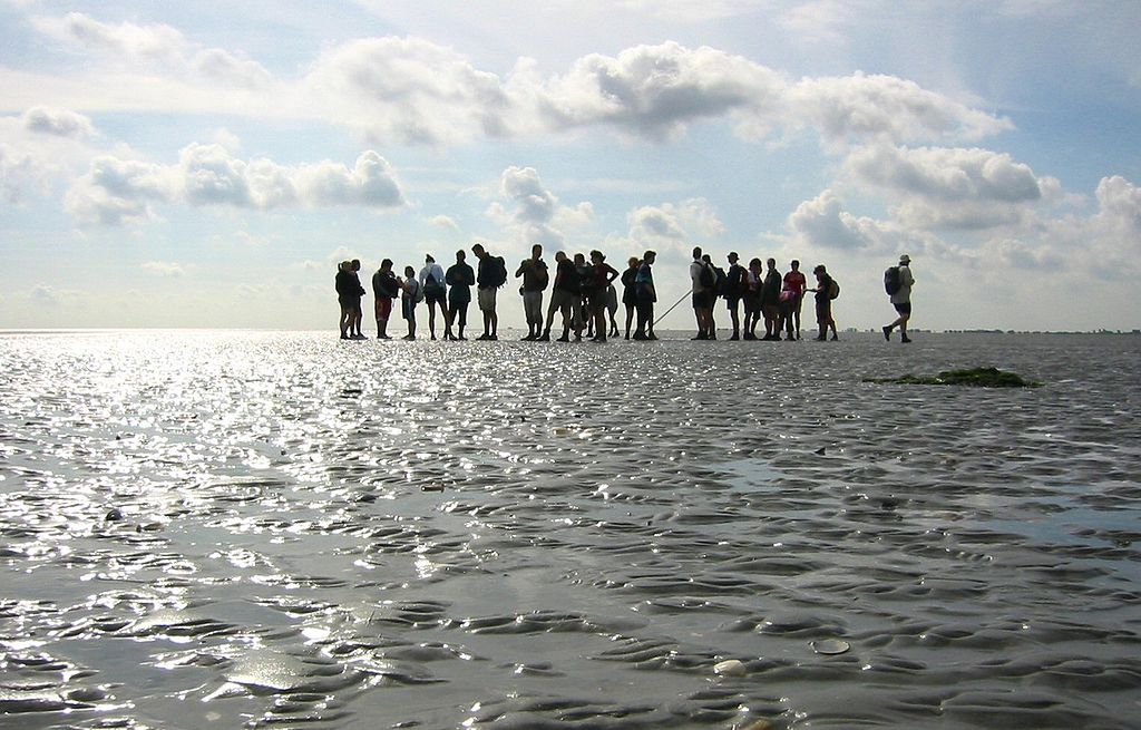 El cambio climático está afectando rápidamente al Mar de Frisia. Es un cuerpo de agua muy poco profundo, muy sensible al efecto de las mareas.