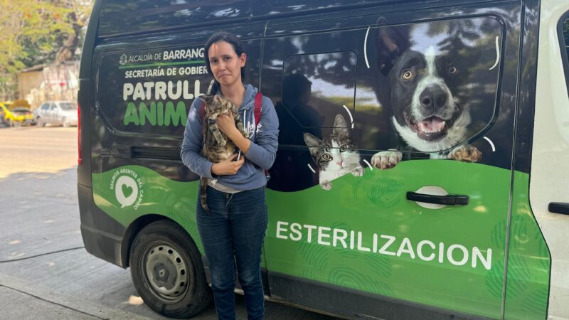 Barranquilla: Jornadas de esterilización de mascotas sin agendamiento