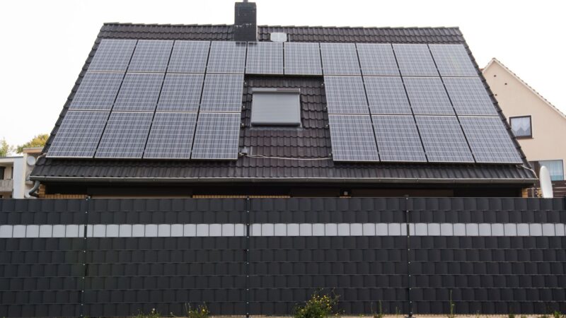 Estudio: 31% de hogares alemanes utilizan energías sostenibles