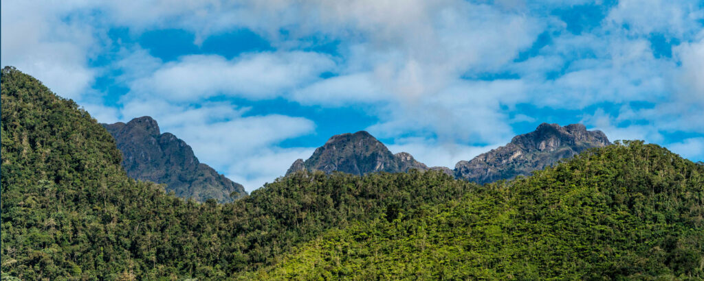 El Parque Nacional Natural Farallones se roba las miradas en la COP16